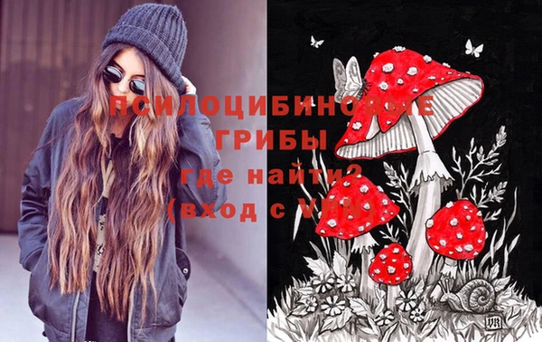 спиды Белоозёрский