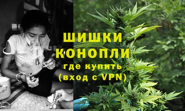СК Белокуриха