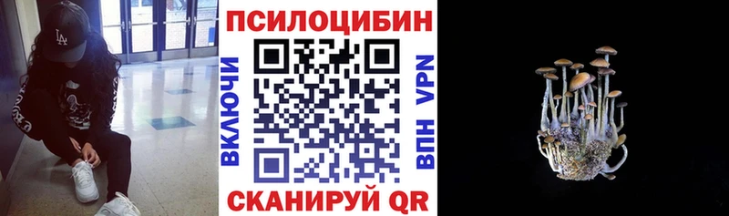 Купить закладки  Губкинский  Галлюциногенные грибы Cubensis 