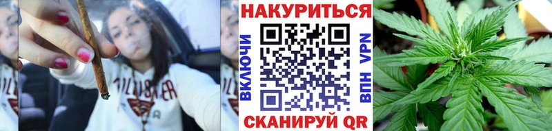 Купить  Губкинский  Шишки марихуана MAZAR 